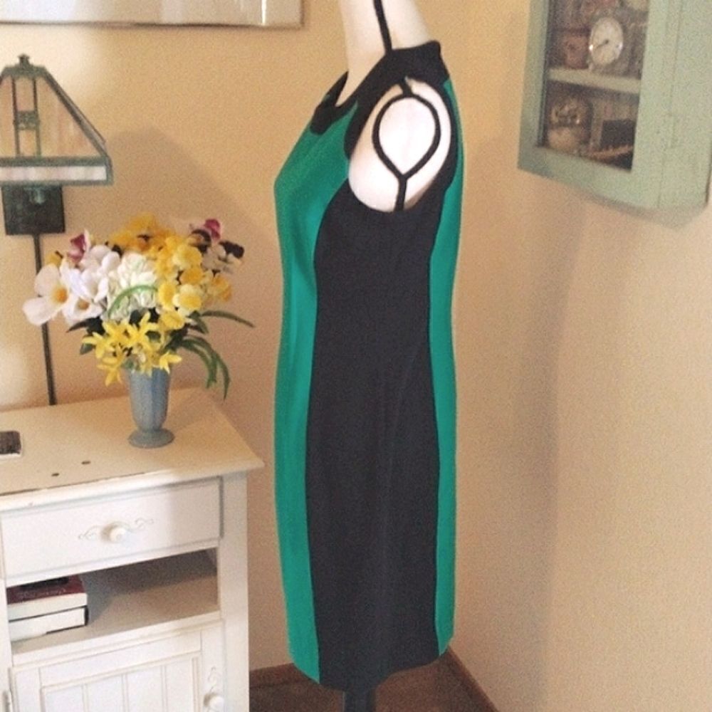 Calvin Klein Colorblock Dress - Picture 4 of 9